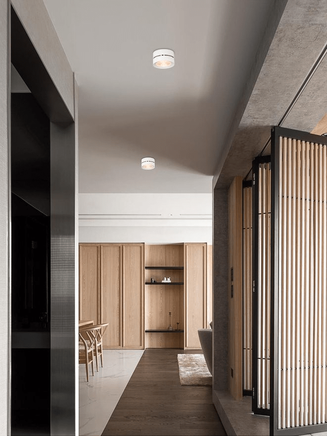 Round Rotating LED Downlight by FIFTH & BEAM — product view 4