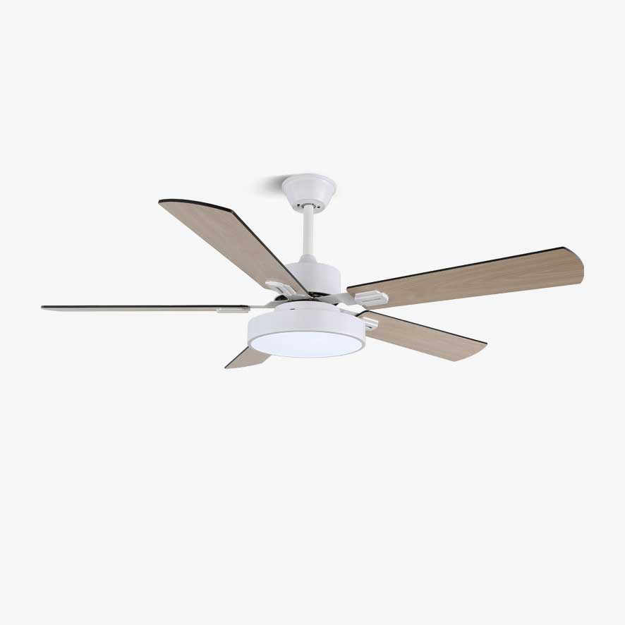 Zephyris Ceiling Fan Light by FIFTH & BEAM — product view 1