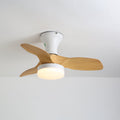Brisa Ceiling Fan Light by FIFTH & BEAM — product view 3