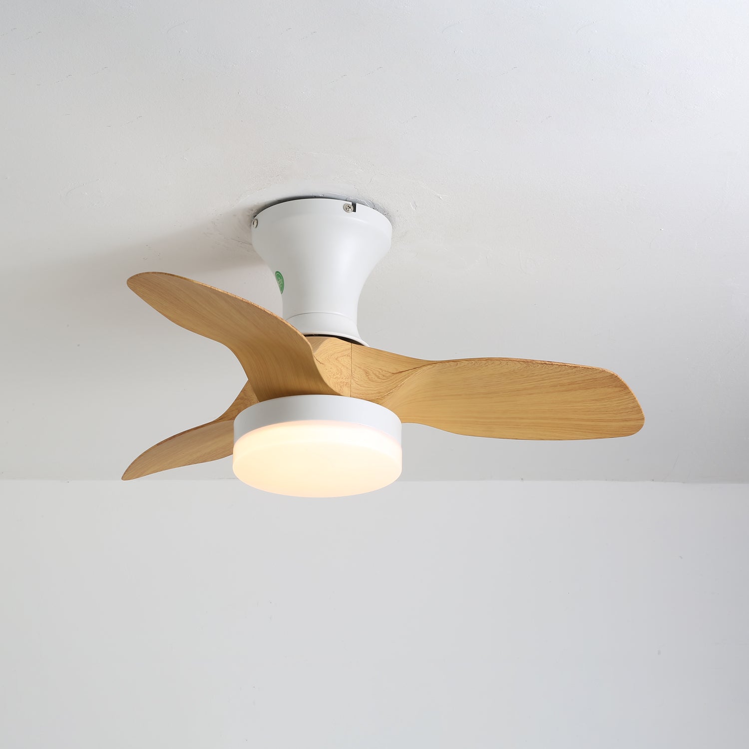Brisa Ceiling Fan Light by FIFTH & BEAM — product view 3