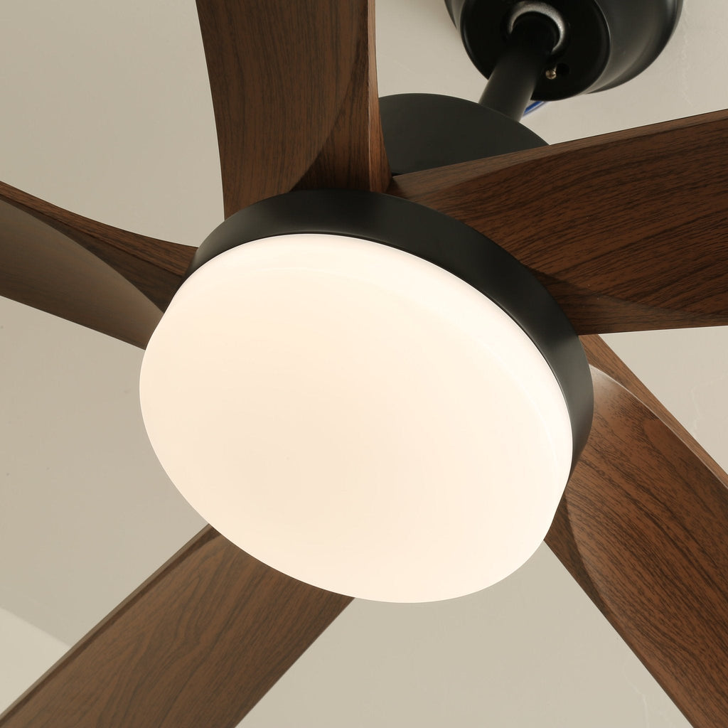 Auralin Breeze Ceiling Fan Light by FIFTH & BEAM — product view 12