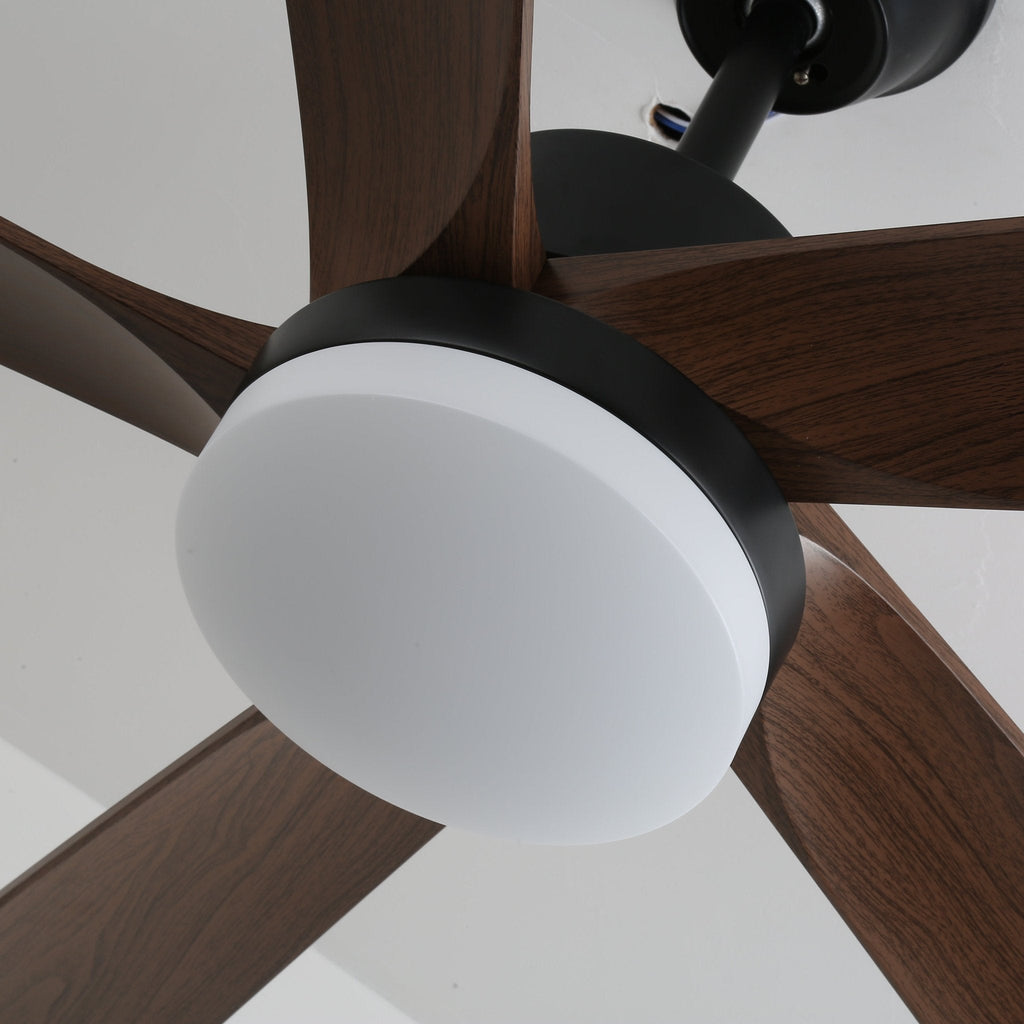 Auralin Breeze Ceiling Fan Light by FIFTH & BEAM — product view 2