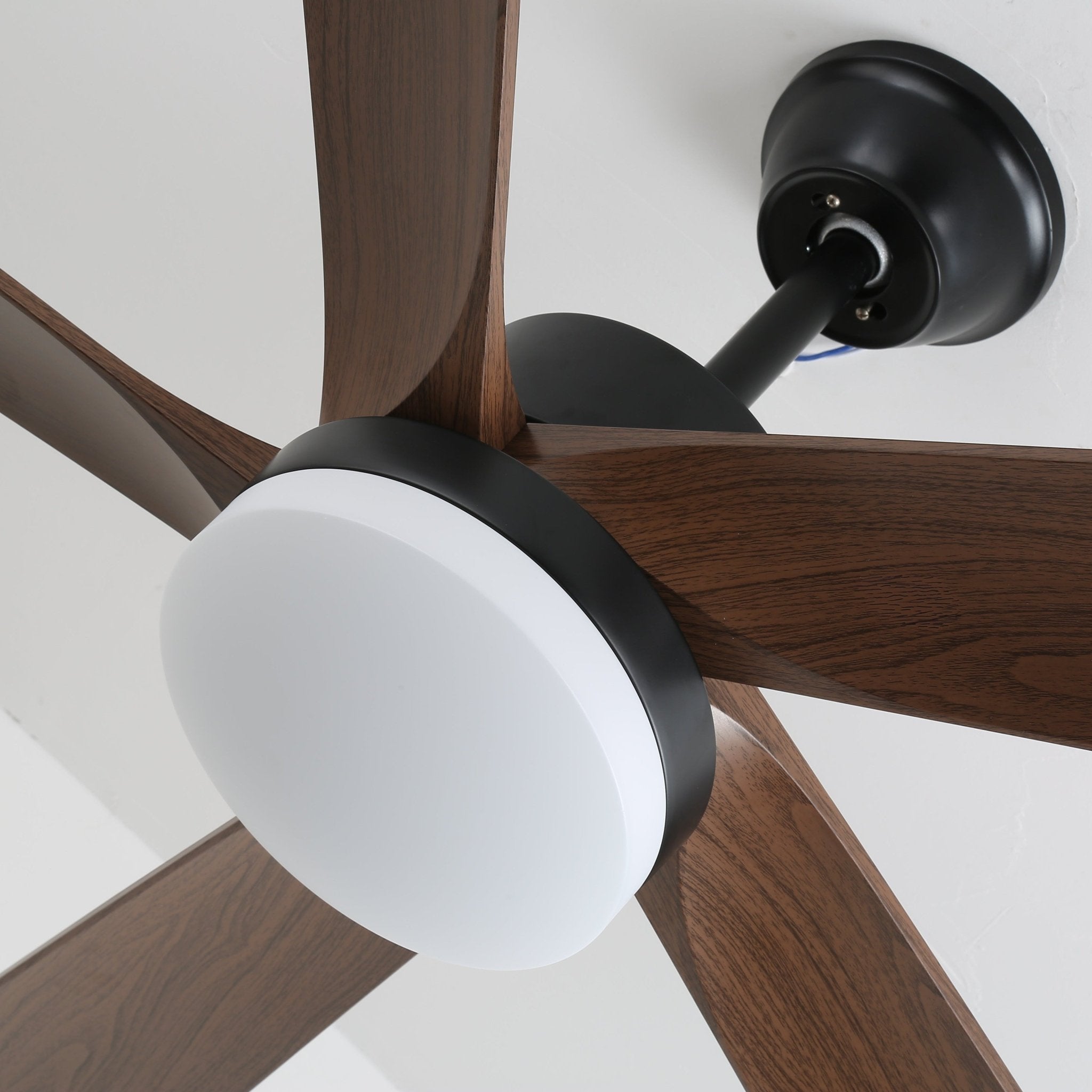 Auralin Breeze Ceiling Fan Light by FIFTH & BEAM — product view 3