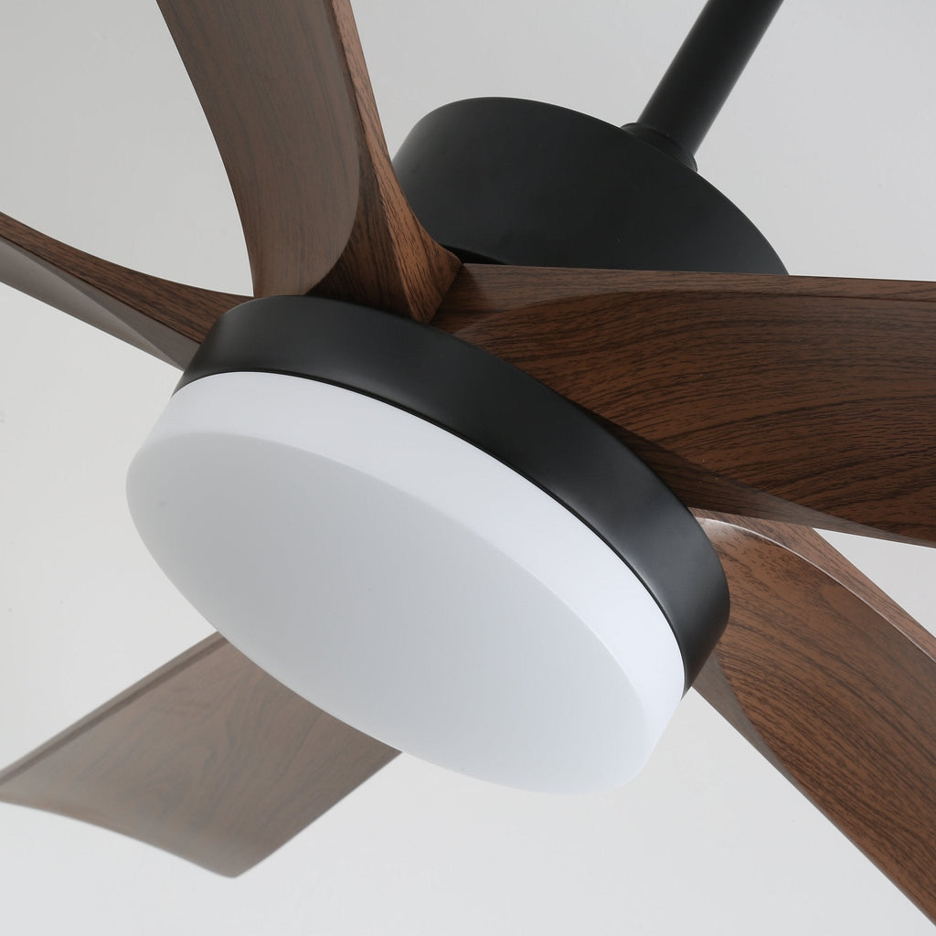 Auralin Breeze Ceiling Fan Light by FIFTH & BEAM — product view 4
