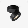 Lyric Adjustable Surface Downlight by FIFTH & BEAM — product view 1