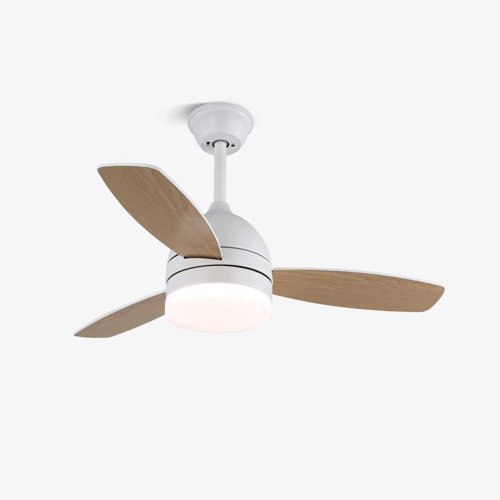Breeze Minimal Ceiling Fan Light by FIFTH & BEAM — product view 1