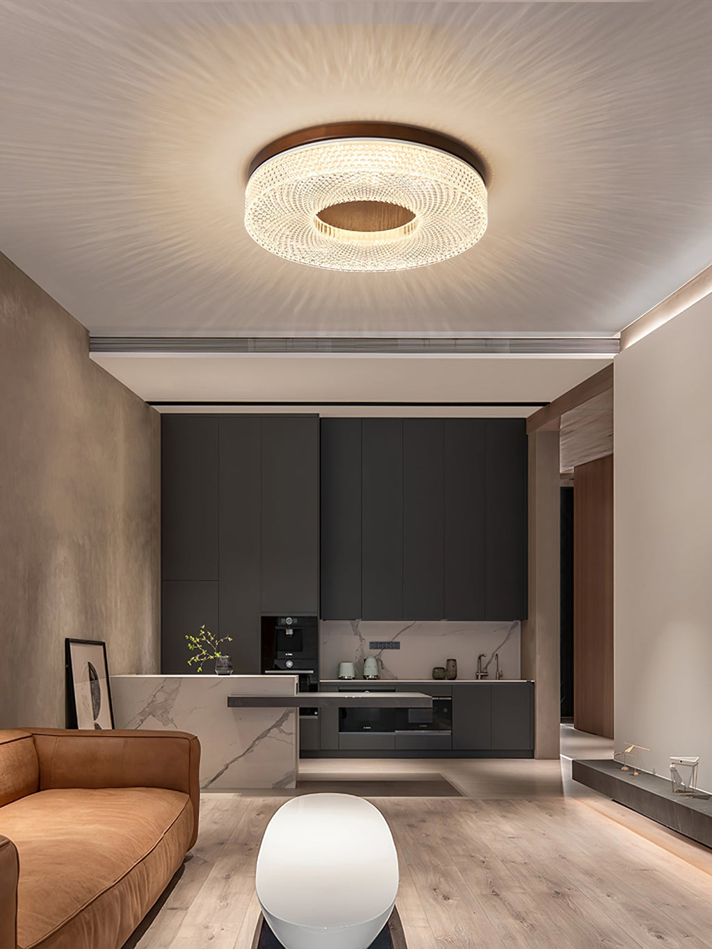Acrylic Halo Round Ceiling Light by FIFTH & BEAM — product view 15