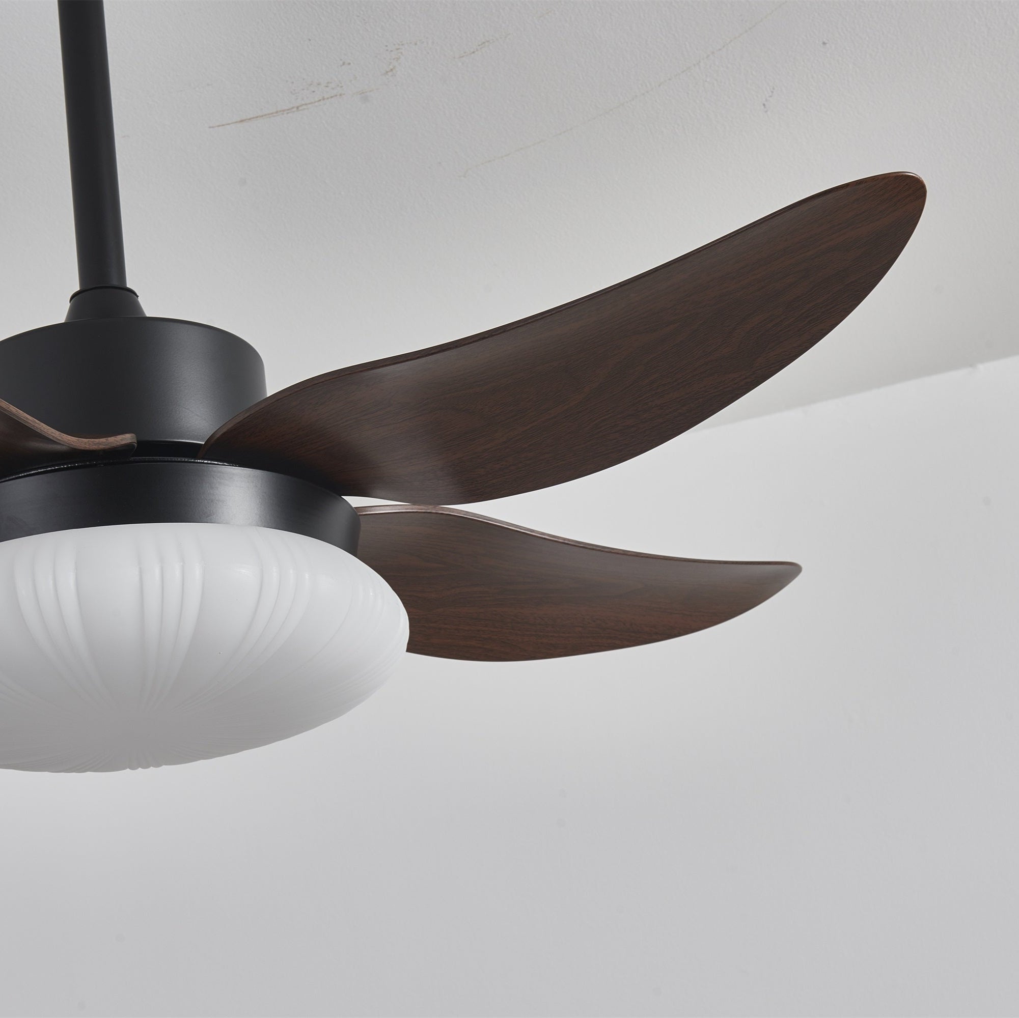 Aero Palm Ceiling Fan Light by FIFTH & BEAM — product view 7
