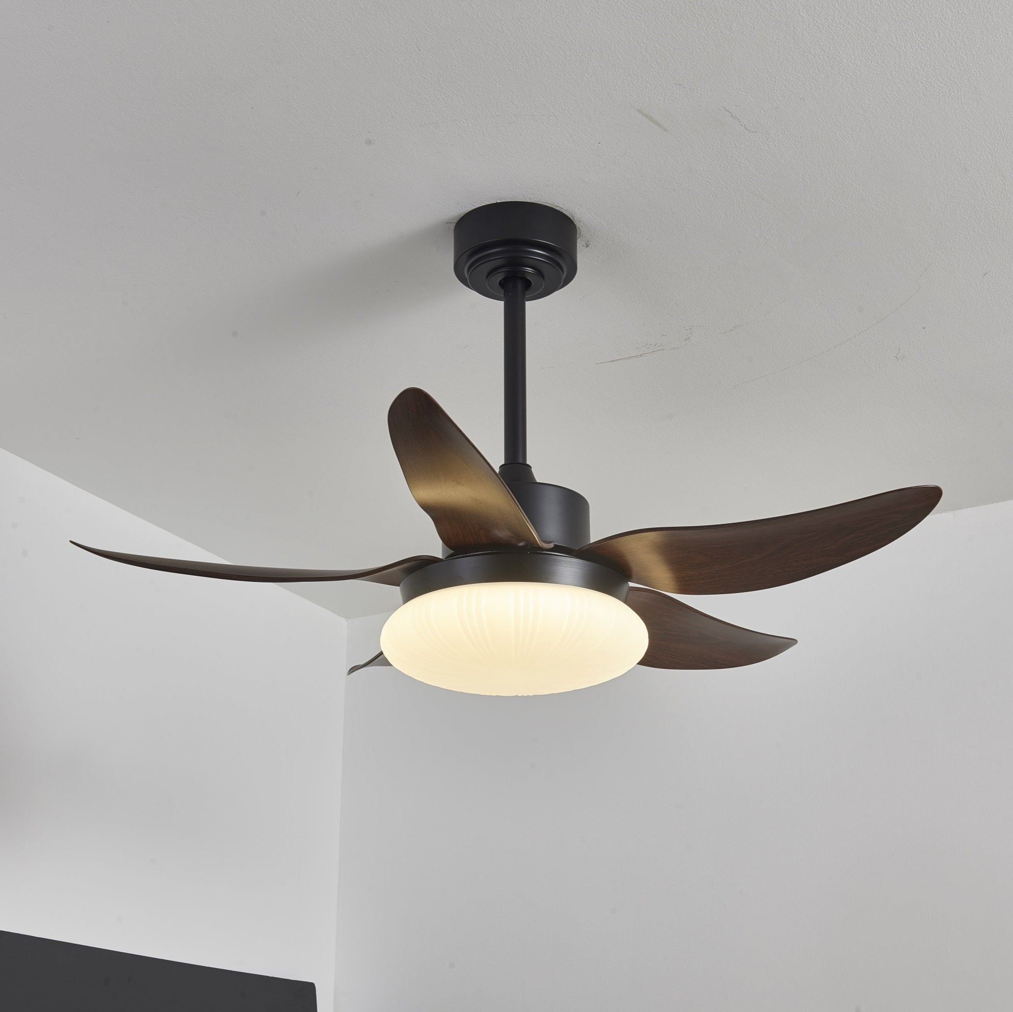Aero Palm Ceiling Fan Light by FIFTH & BEAM — product view 13