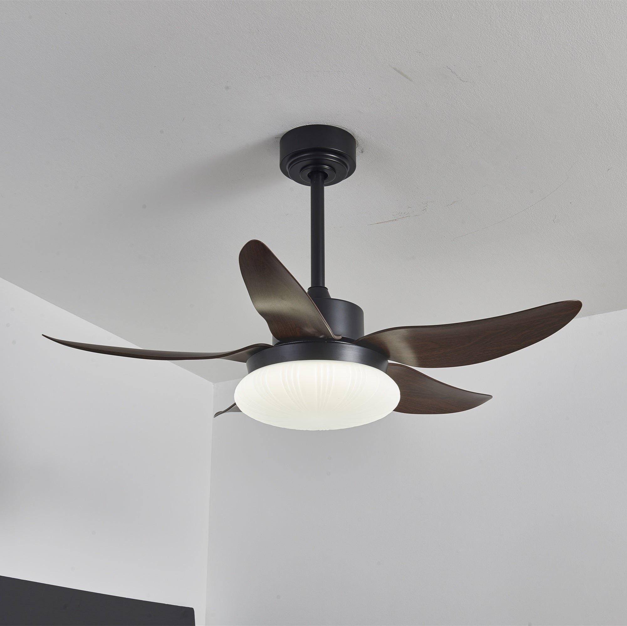 Aero Palm Ceiling Fan Light by FIFTH & BEAM — product view 14