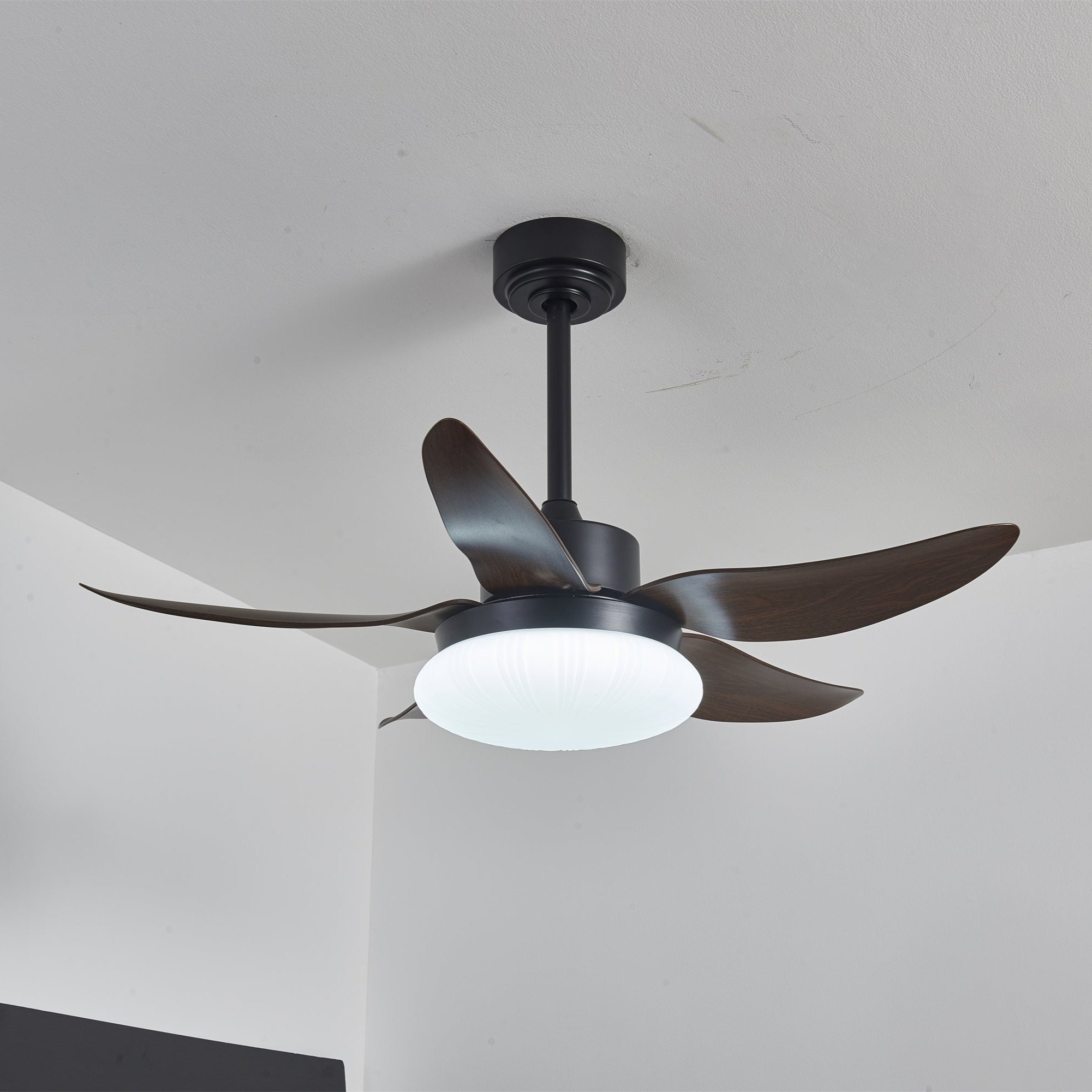 Aero Palm Ceiling Fan Light by FIFTH & BEAM — product view 15