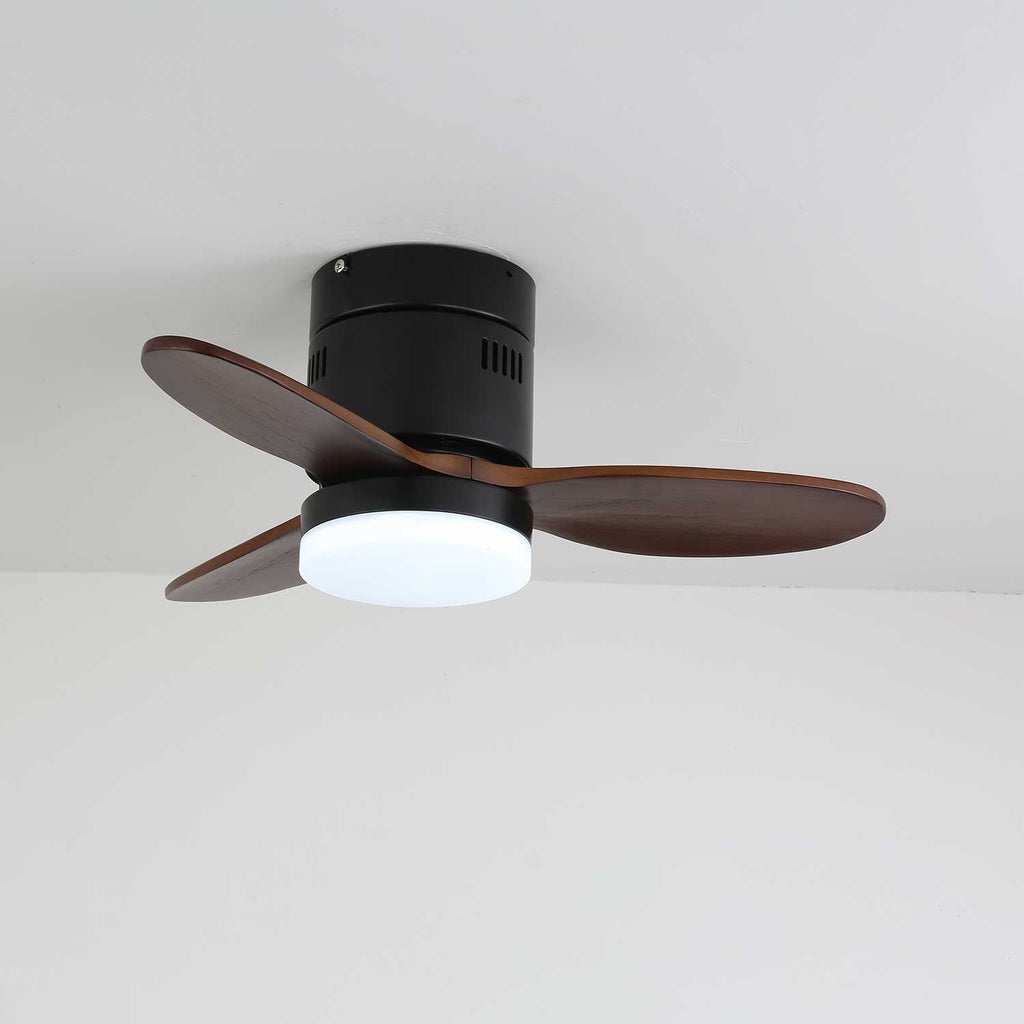 Aeroluxe Modern Ceiling Fan Light by FIFTH & BEAM — product view 19