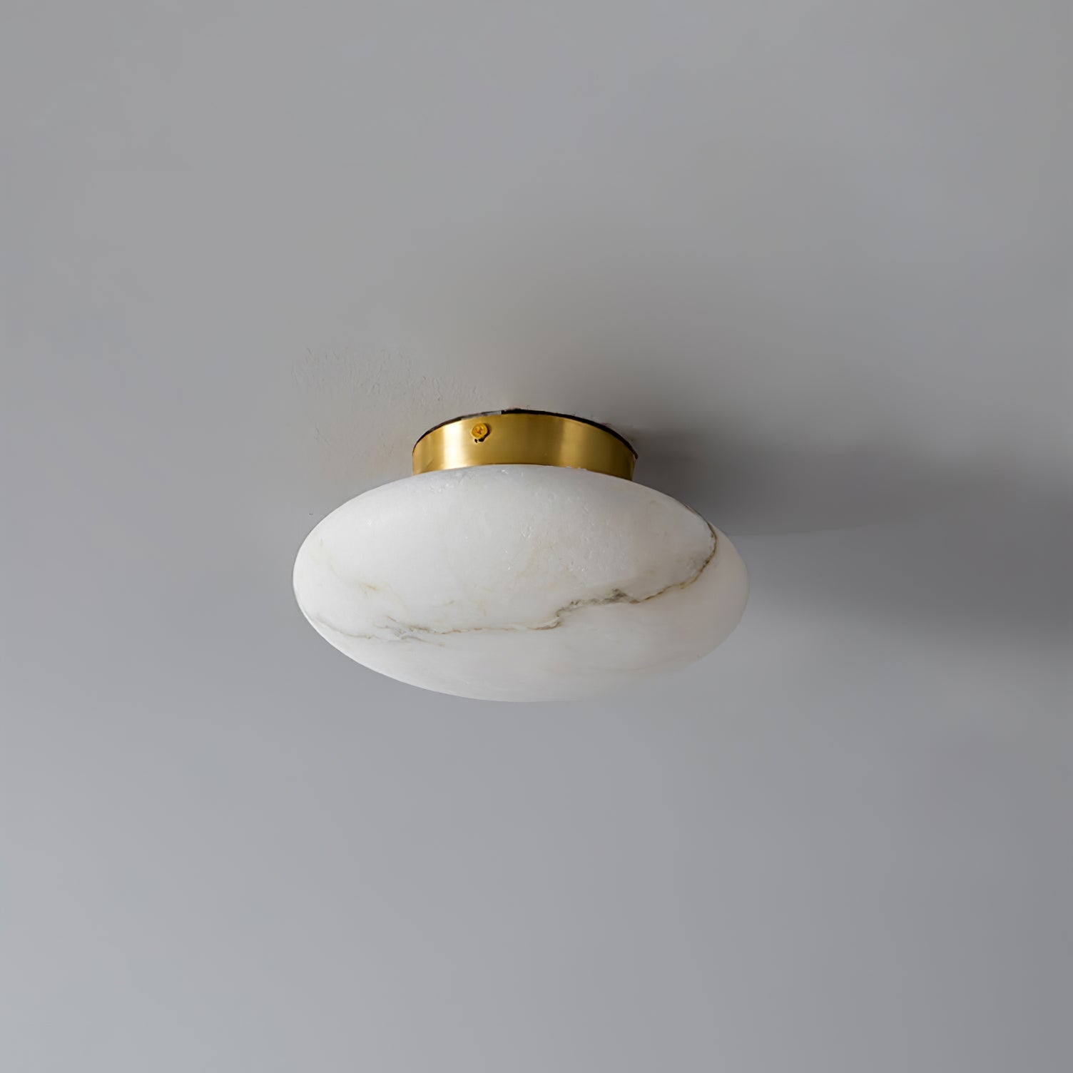 Alabaster Oval Ceiling Lamp by FIFTH & BEAM — product view 12