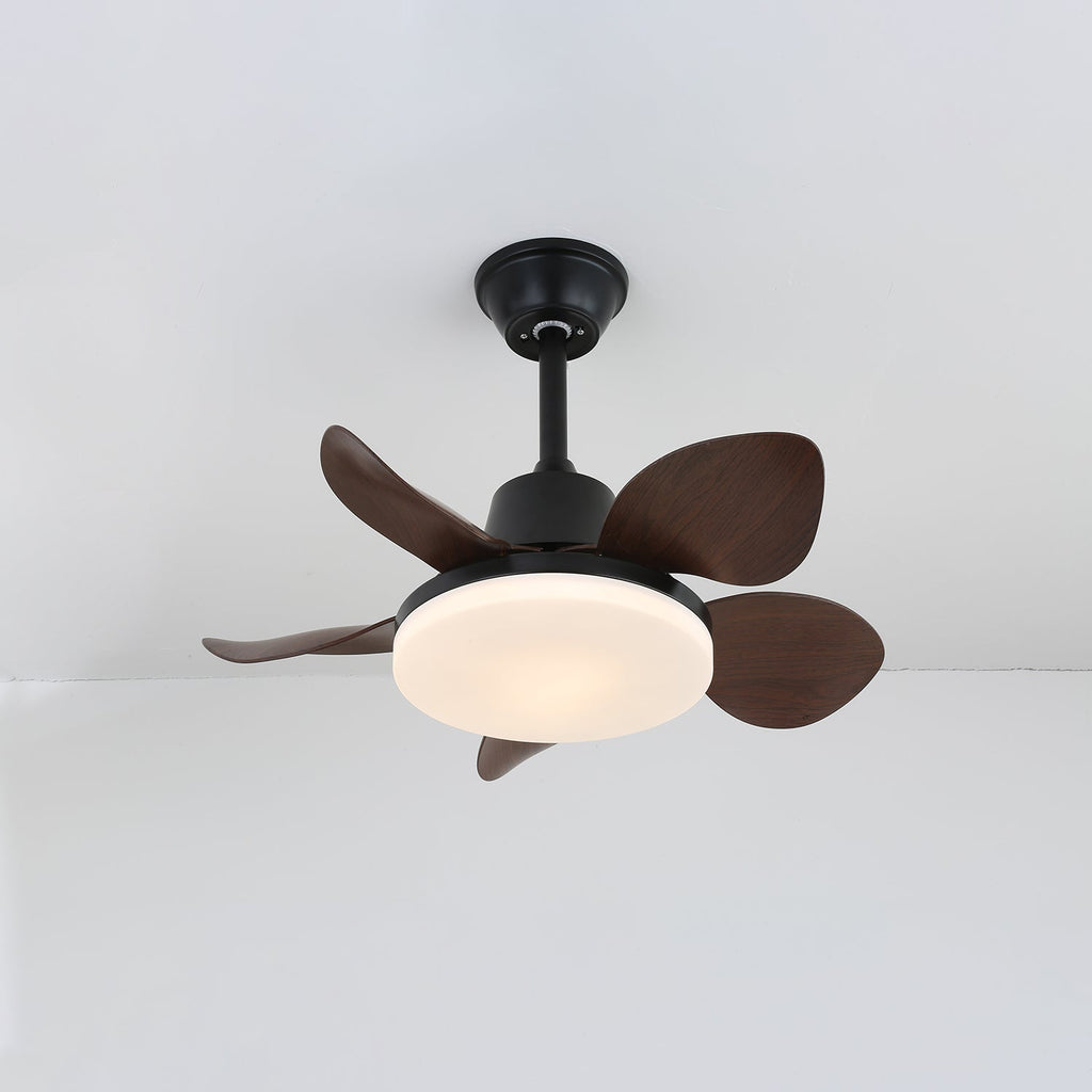 Amelia Ceiling Fan Light by FIFTH & BEAM — product view 6