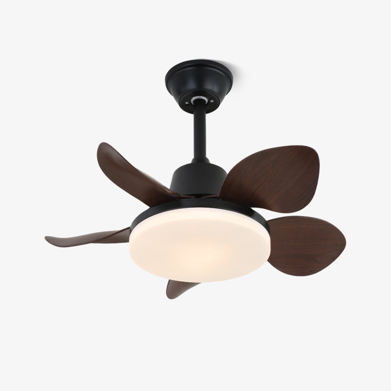 Amelia Ceiling Fan Light by FIFTH & BEAM — product view 5