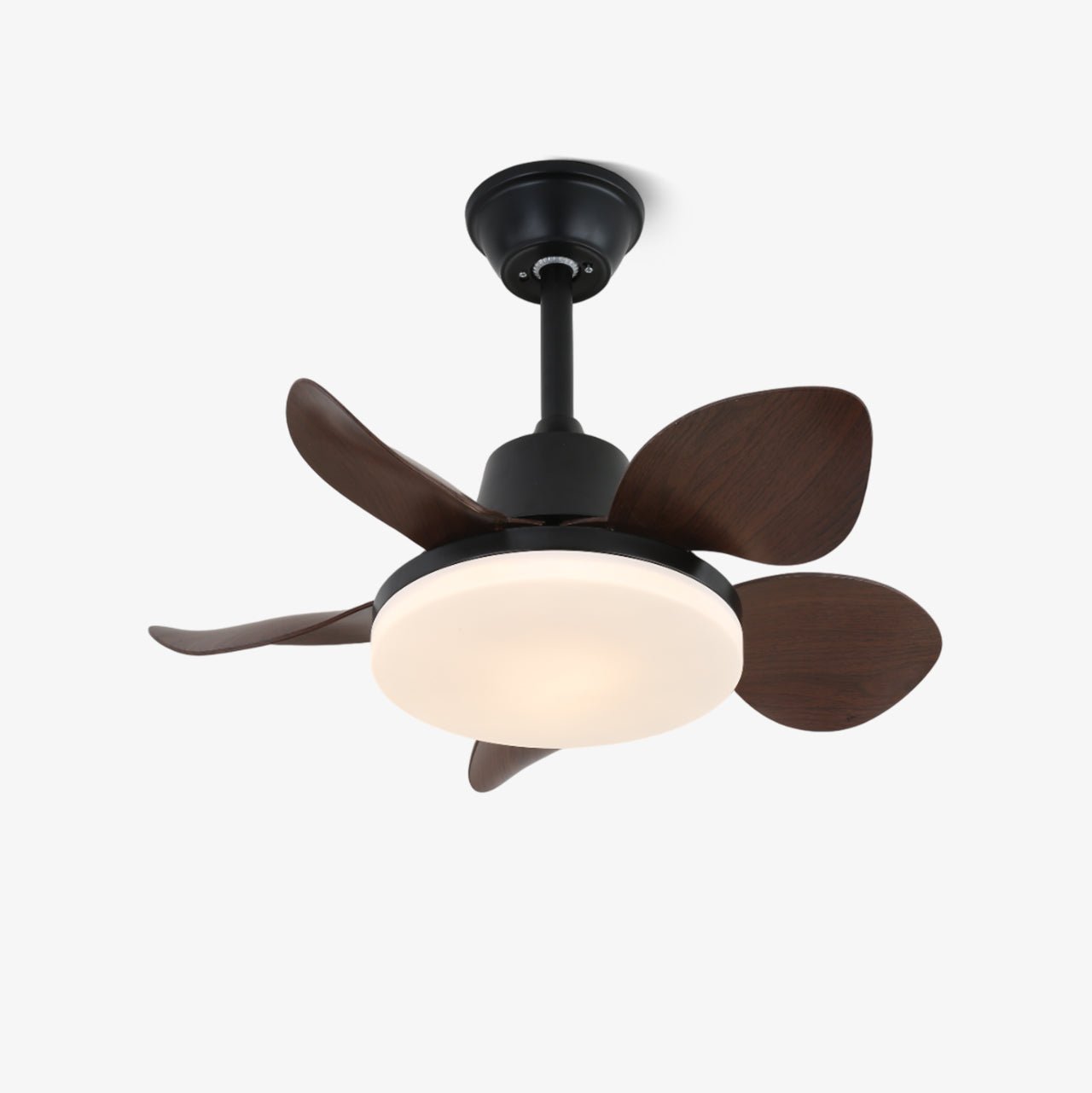 Amelia Ceiling Fan Light by FIFTH & BEAM — product view 1