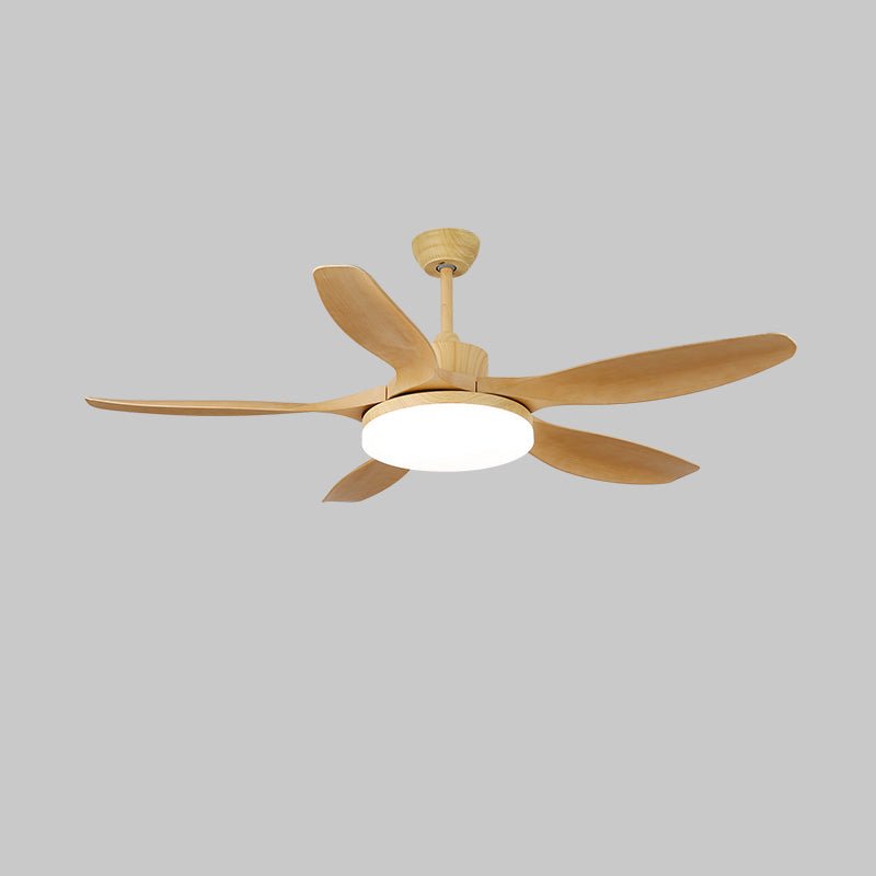 Keltis 42"/52" Ceiling Fan Light by FIFTH & BEAM — product view 21