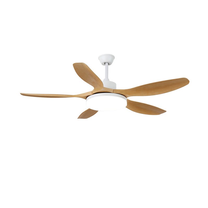 Keltis 42"/52" Ceiling Fan Light by FIFTH & BEAM — product view 14