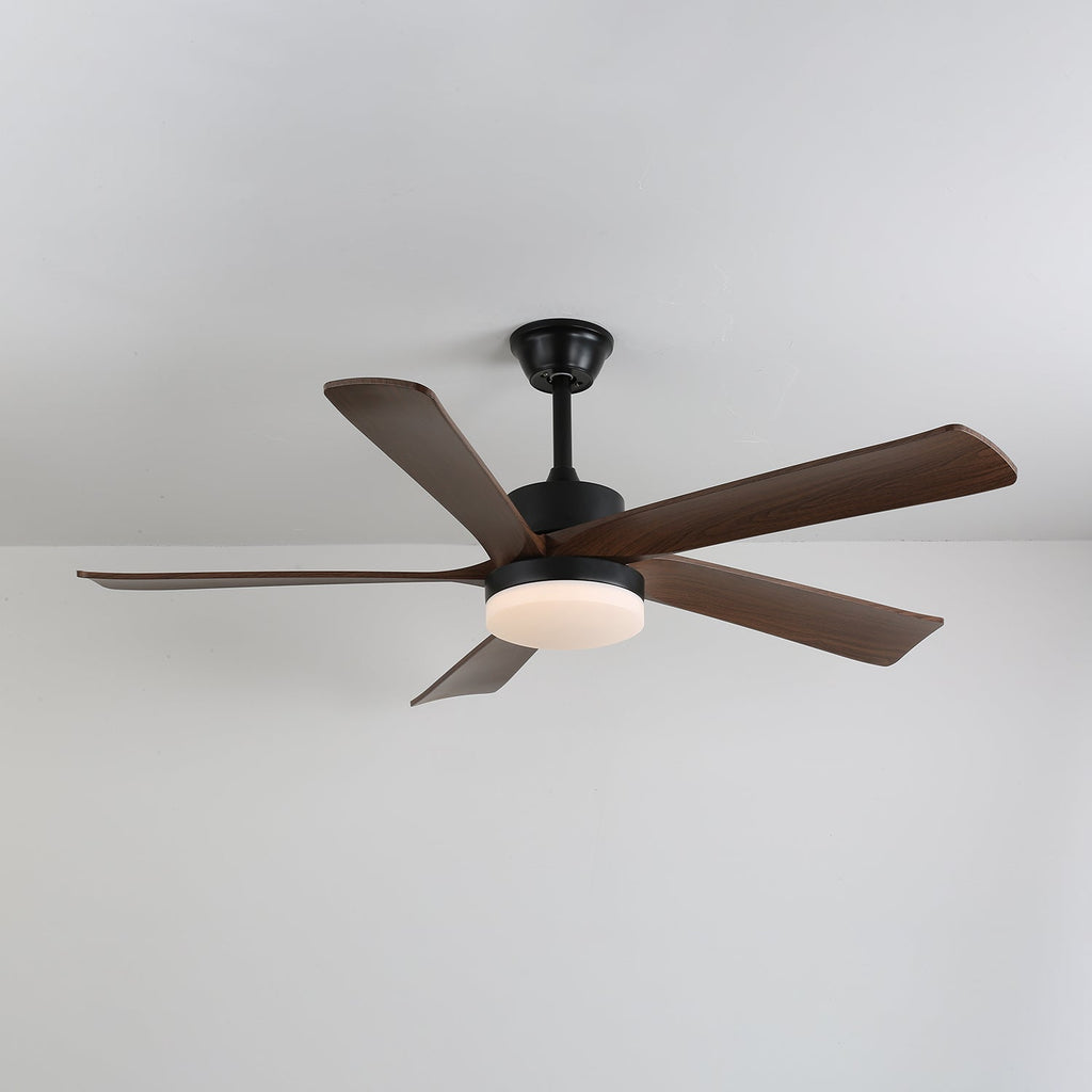 Auralin Breeze Ceiling Fan Light by FIFTH & BEAM — product view 6