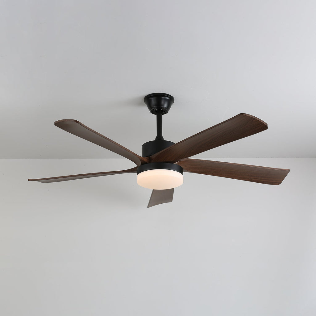 Auralin Breeze Ceiling Fan Light by FIFTH & BEAM — product view 11