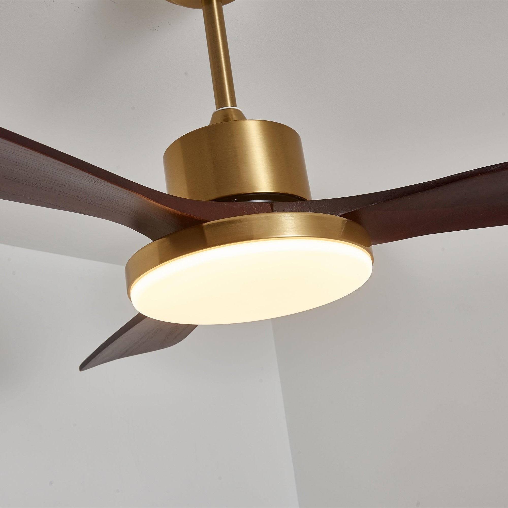 Aurevo Ceiling Fan Light by FIFTH & BEAM — product view 3