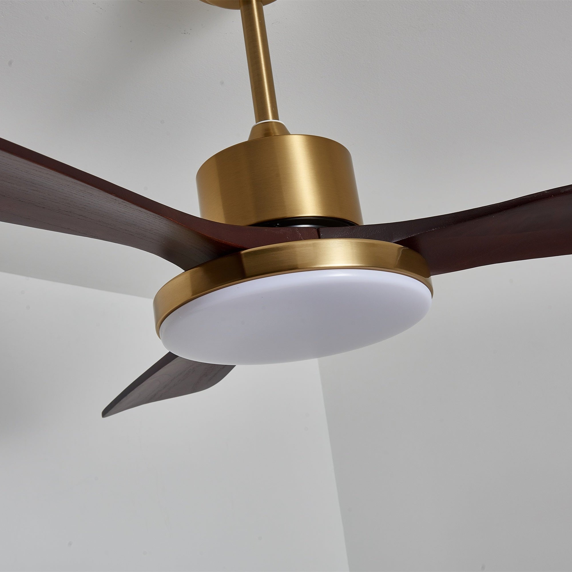 Aurevo Ceiling Fan Light by FIFTH & BEAM — product view 4