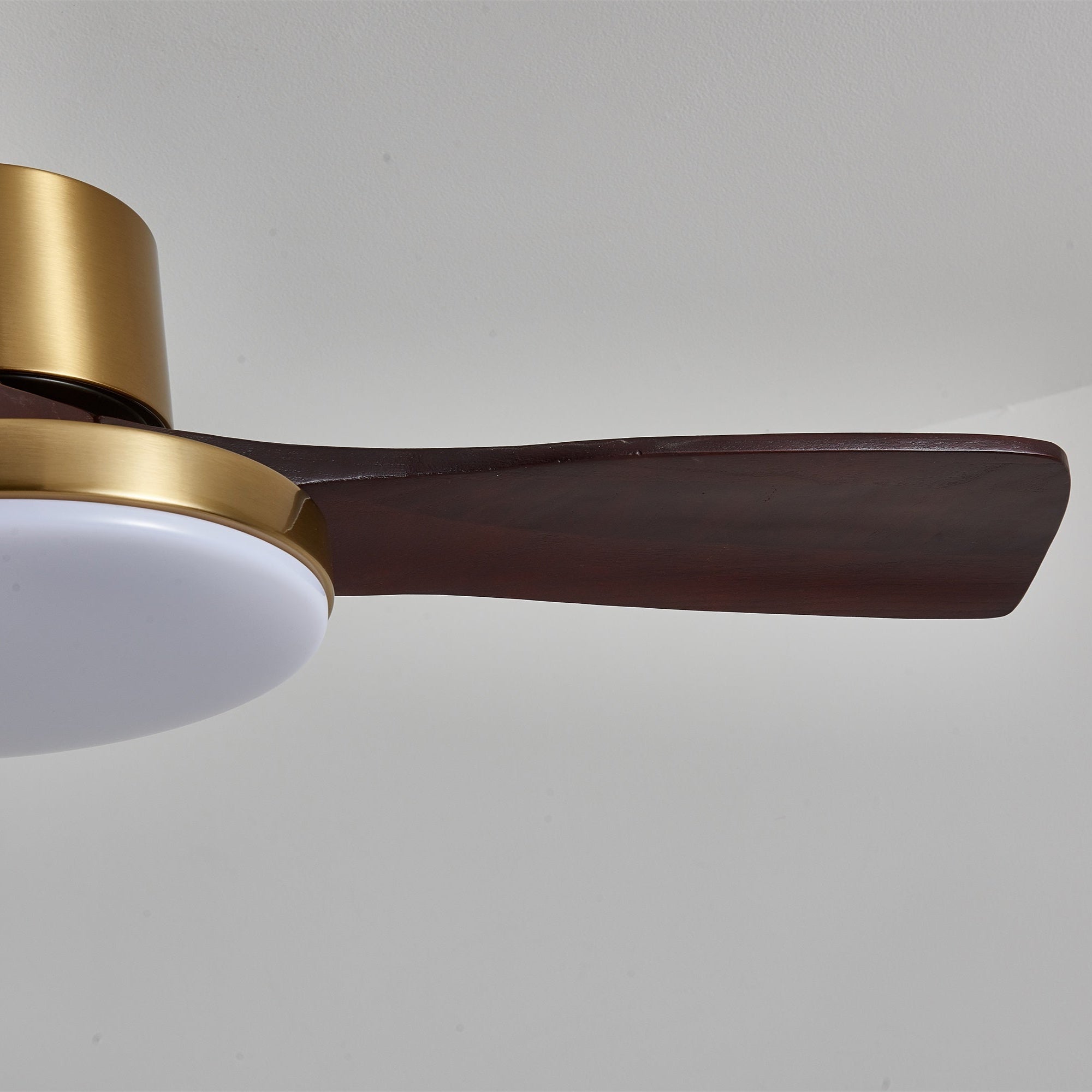 Aurevo Ceiling Fan Light by FIFTH & BEAM — product view 5
