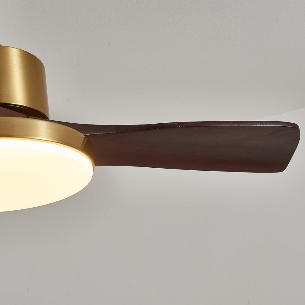 Aurevo Ceiling Fan Light by FIFTH & BEAM — product view 6