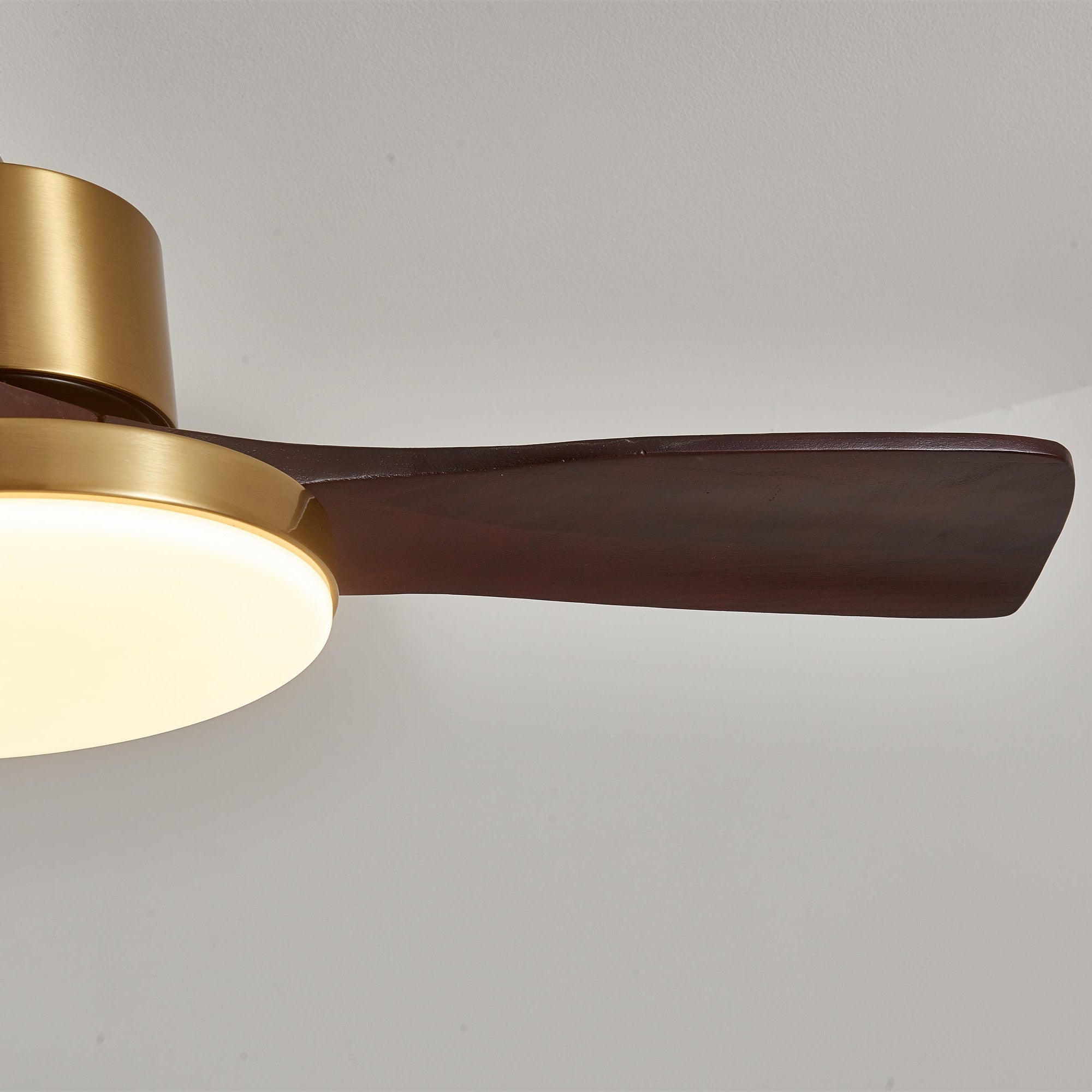 Aurevo Ceiling Fan Light by FIFTH & BEAM — product view 6