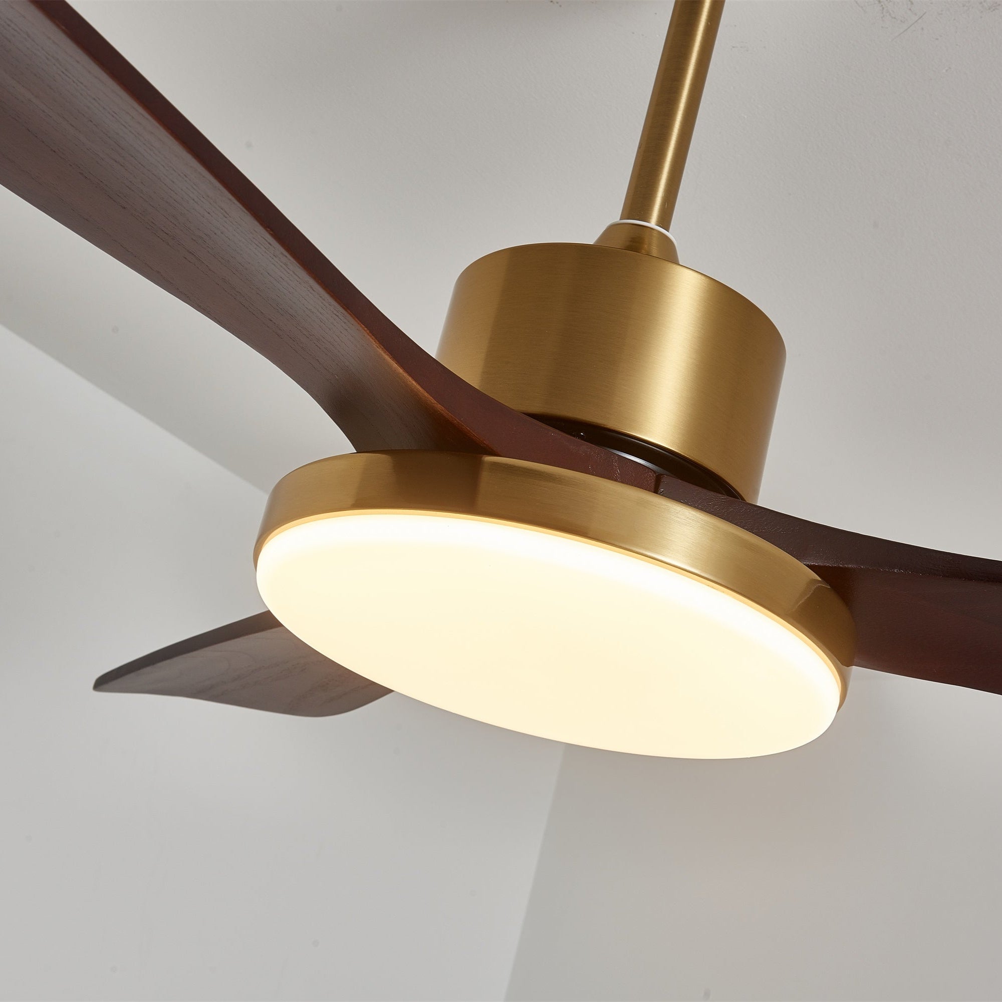 Aurevo Ceiling Fan Light by FIFTH & BEAM — product view 7
