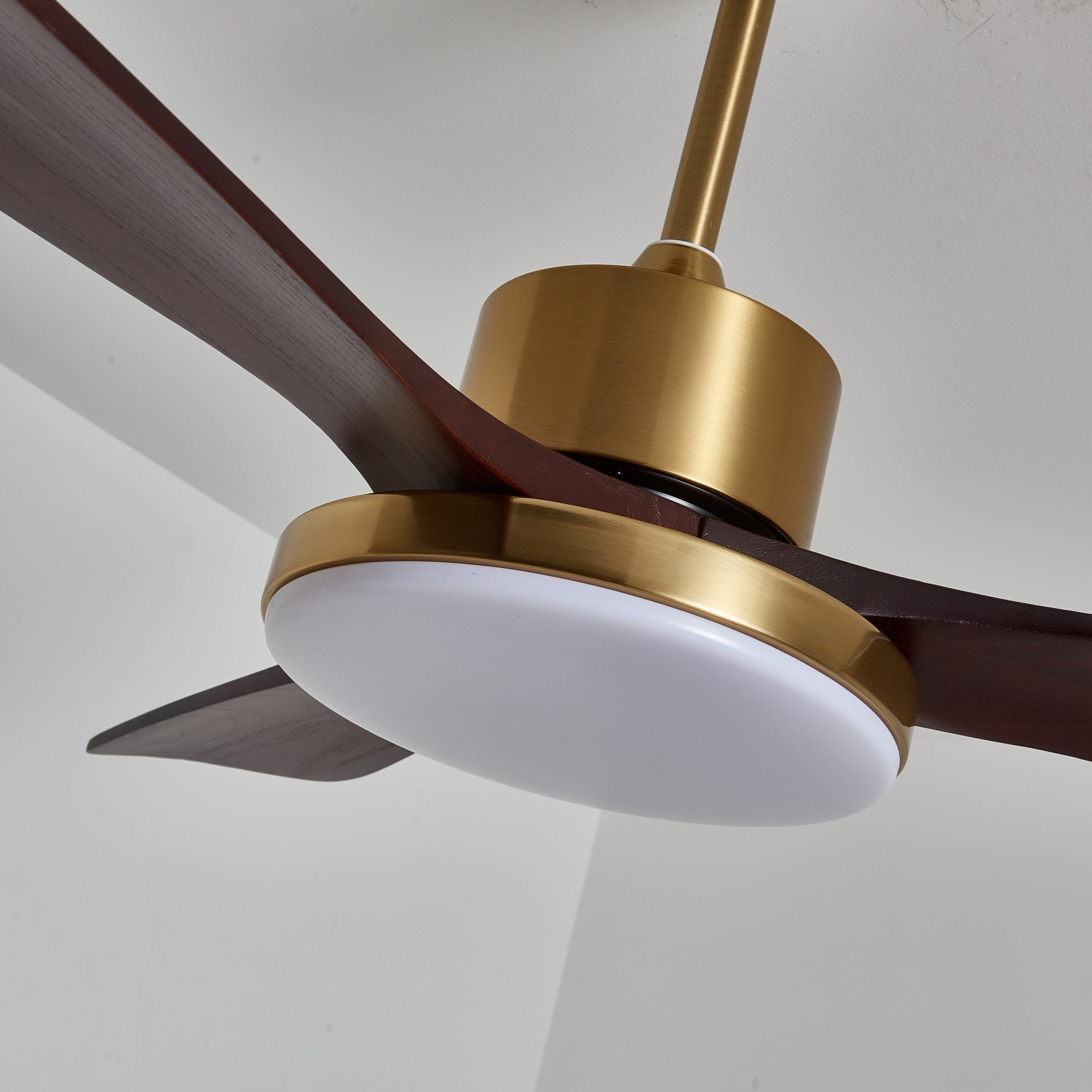 Aurevo Ceiling Fan Light by FIFTH & BEAM — product view 8