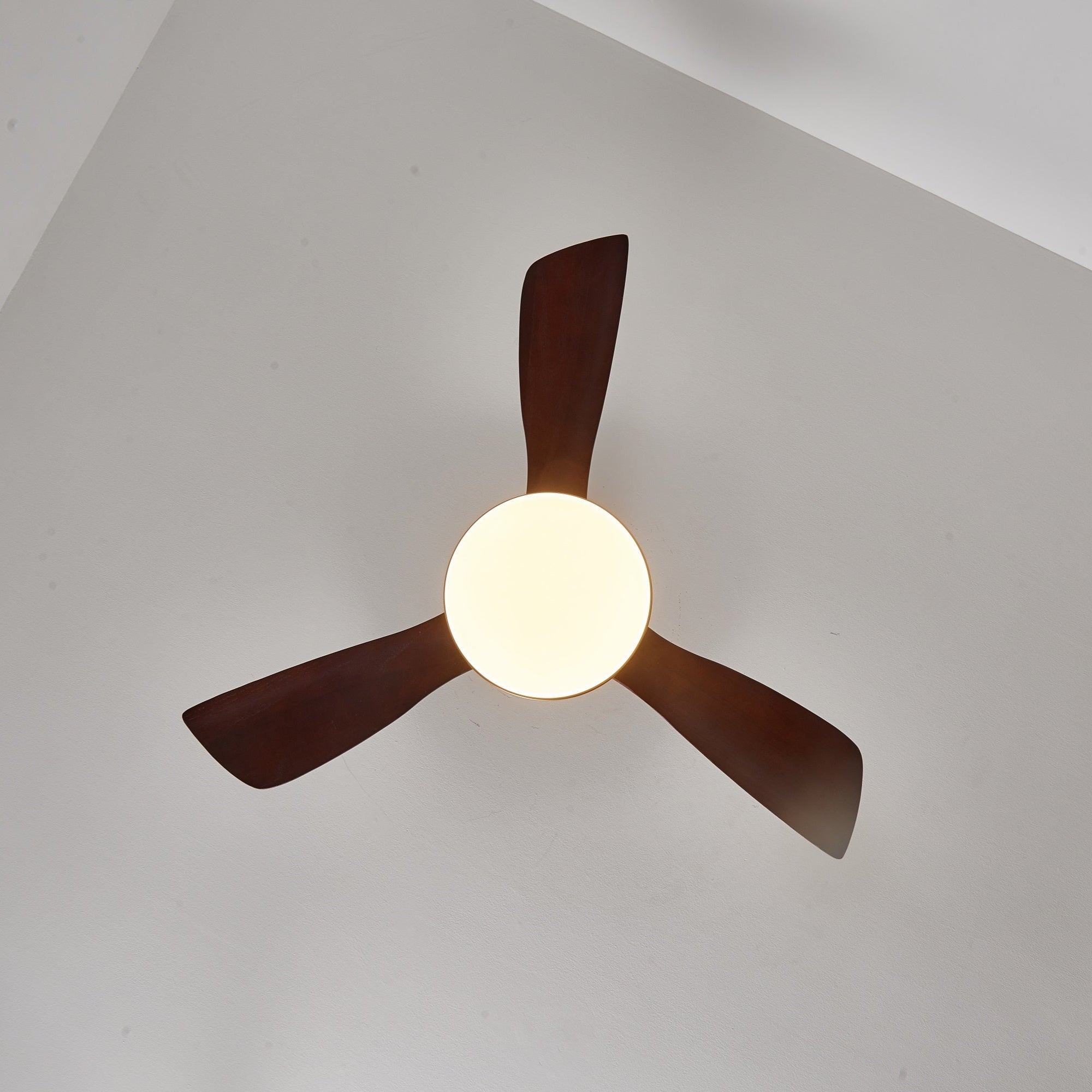 Aurevo Ceiling Fan Light by FIFTH & BEAM — product view 13