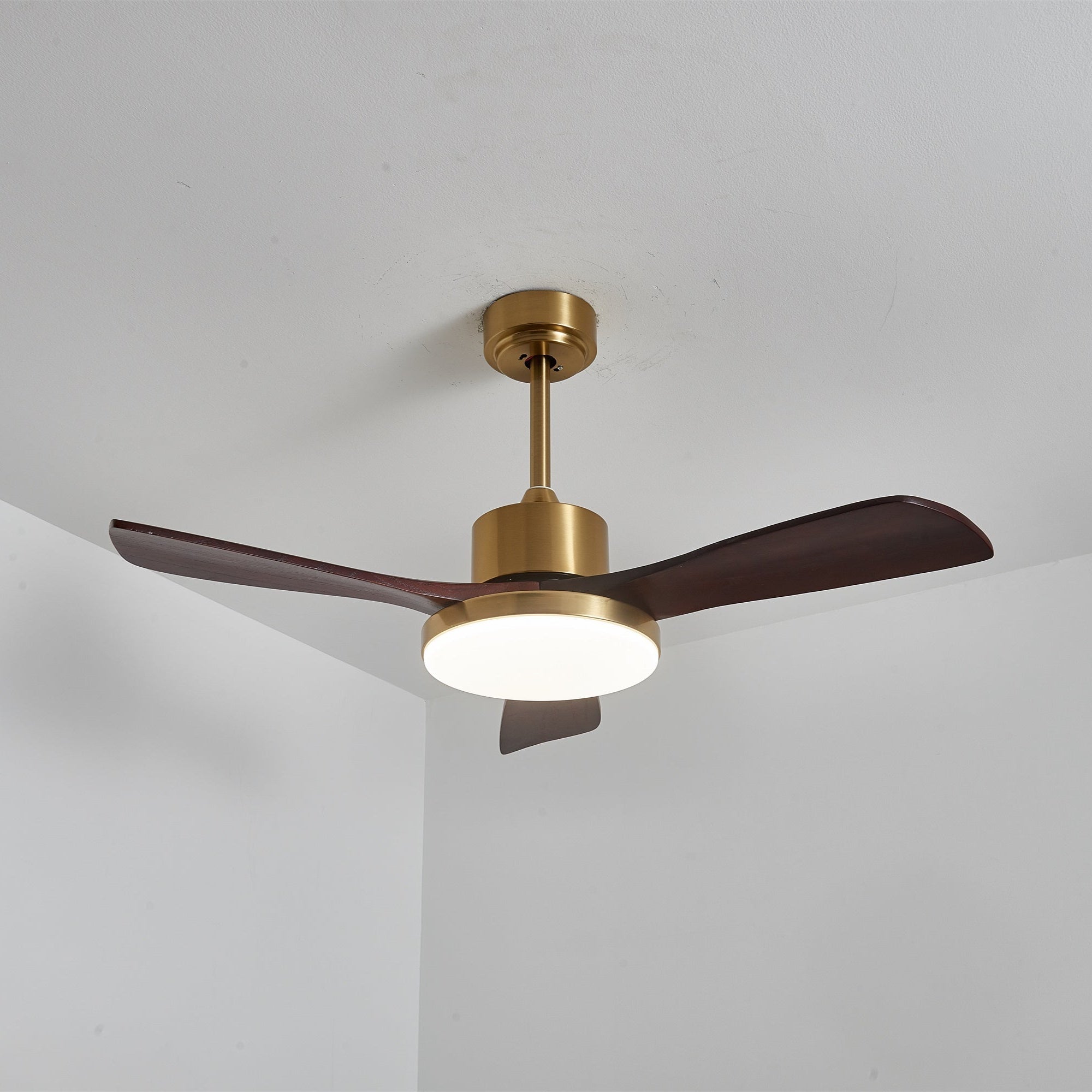 Aurevo Ceiling Fan Light by FIFTH & BEAM — product view 14