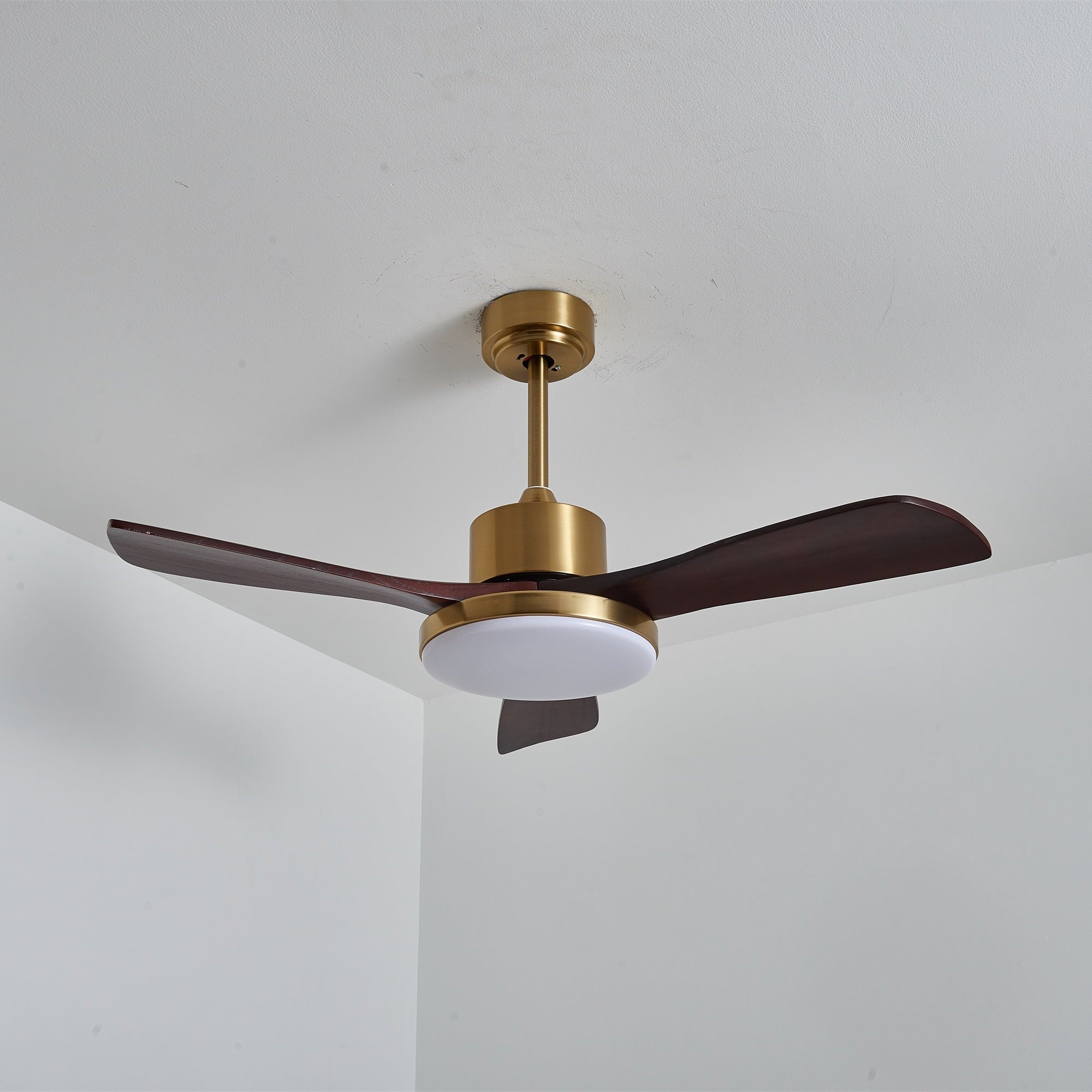 Aurevo Ceiling Fan Light by FIFTH & BEAM — product view 21
