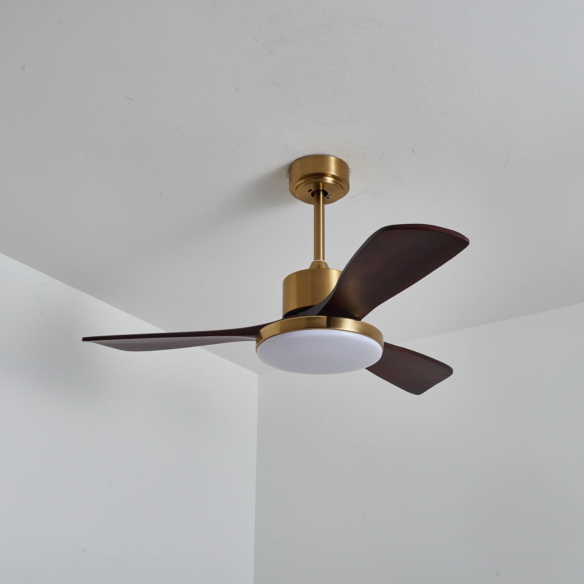 Aurevo Ceiling Fan Light by FIFTH & BEAM — product view 22