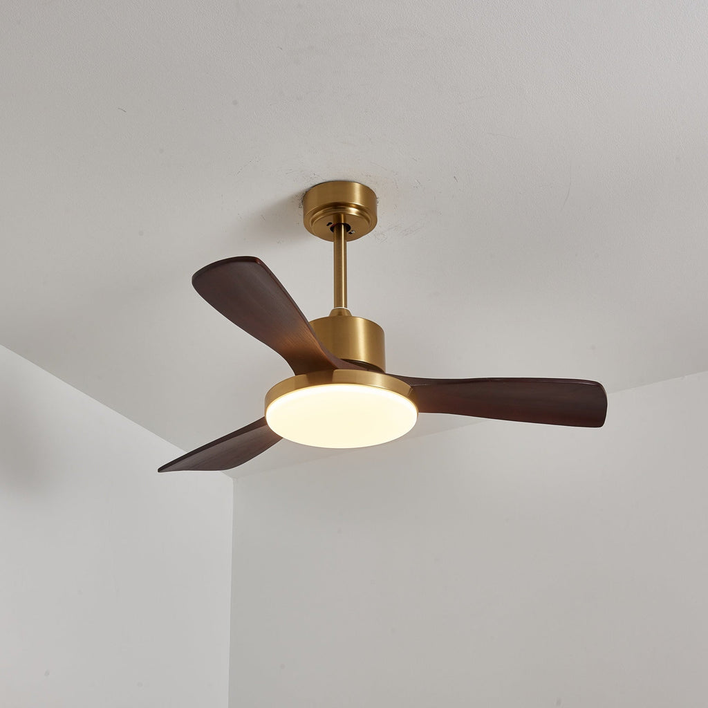 Aurevo Ceiling Fan Light by FIFTH & BEAM — product view 2