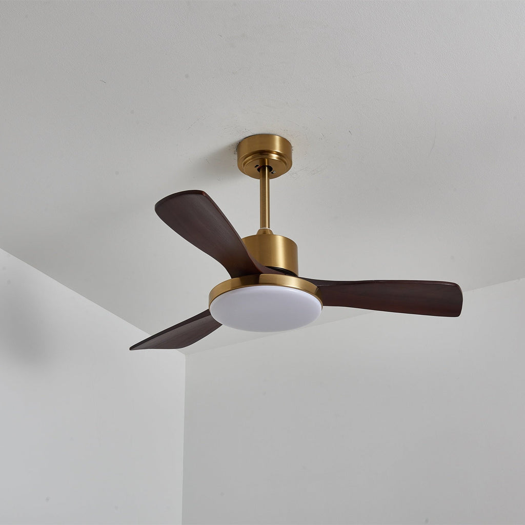 Aurevo Ceiling Fan Light by FIFTH & BEAM — product view 15