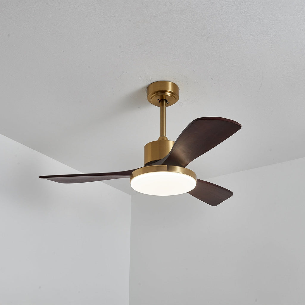 Aurevo Ceiling Fan Light by FIFTH & BEAM — product view 19