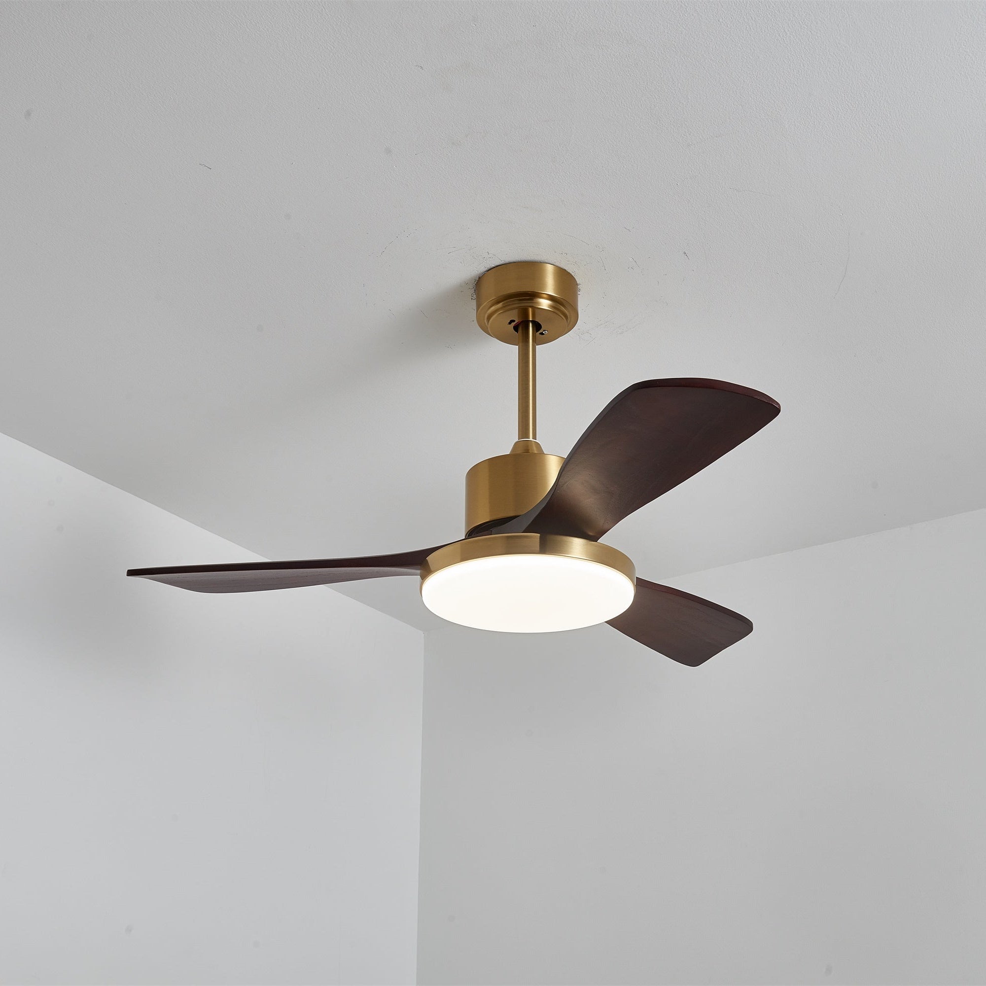 Aurevo Ceiling Fan Light by FIFTH & BEAM — product view 19