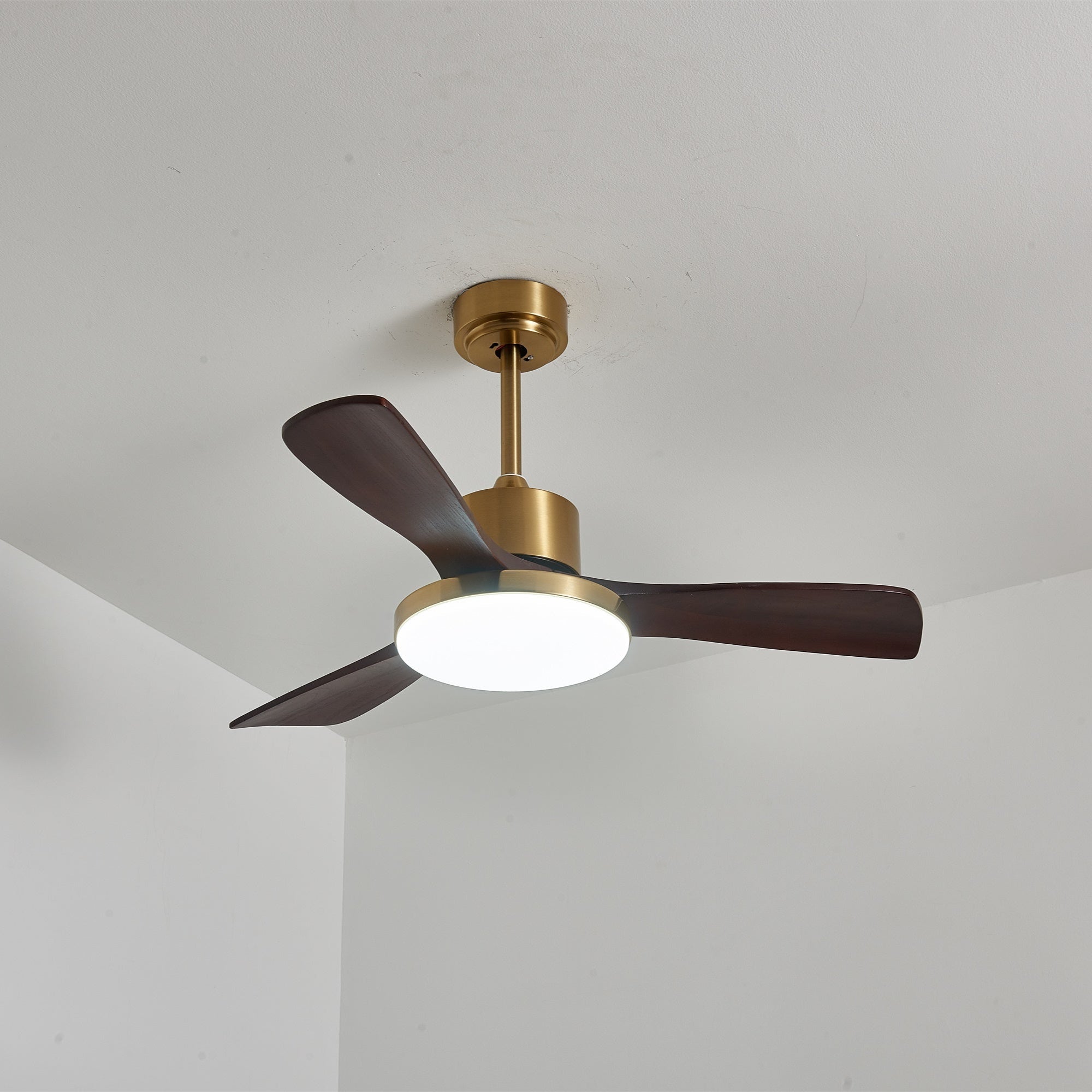 Aurevo Ceiling Fan Light by FIFTH & BEAM — product view 20
