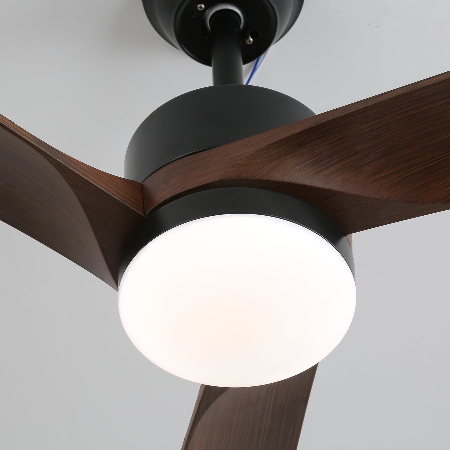 Averso Ceiling Fan Light by FIFTH & BEAM — product view 13