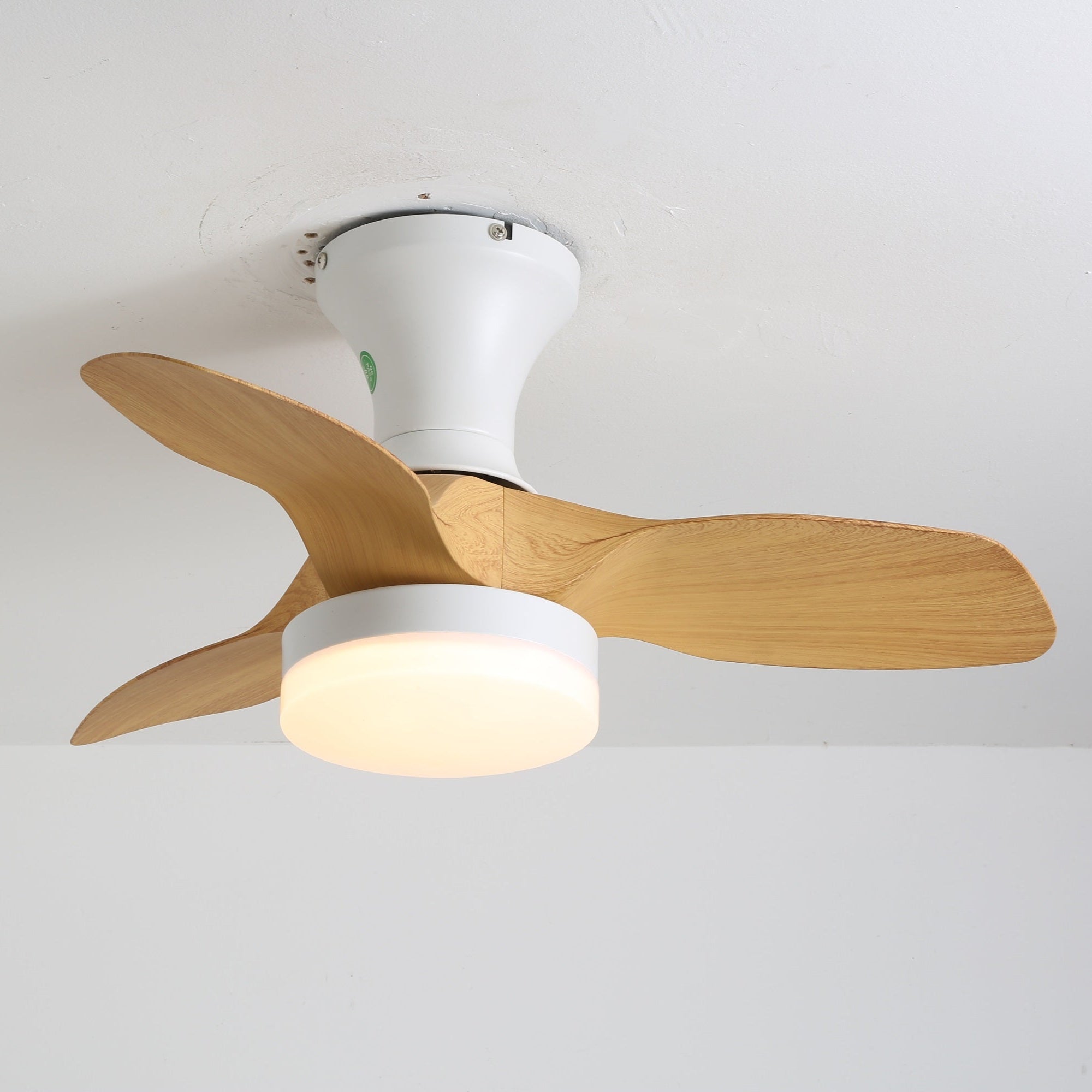 Brisa Ceiling Fan Light by FIFTH & BEAM — product view 5