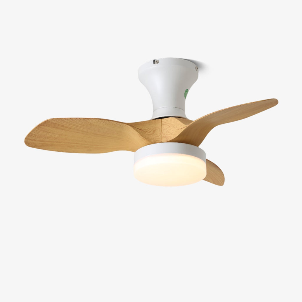 Brisa Ceiling Fan Light by FIFTH & BEAM — product view 6