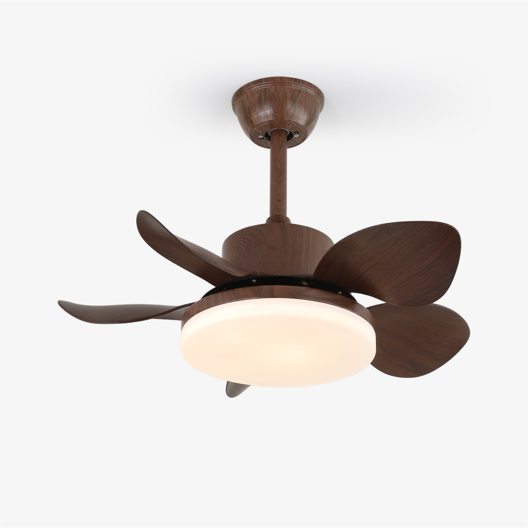 Terra Walnut Ceiling Fan Light by FIFTH & BEAM — product view 9