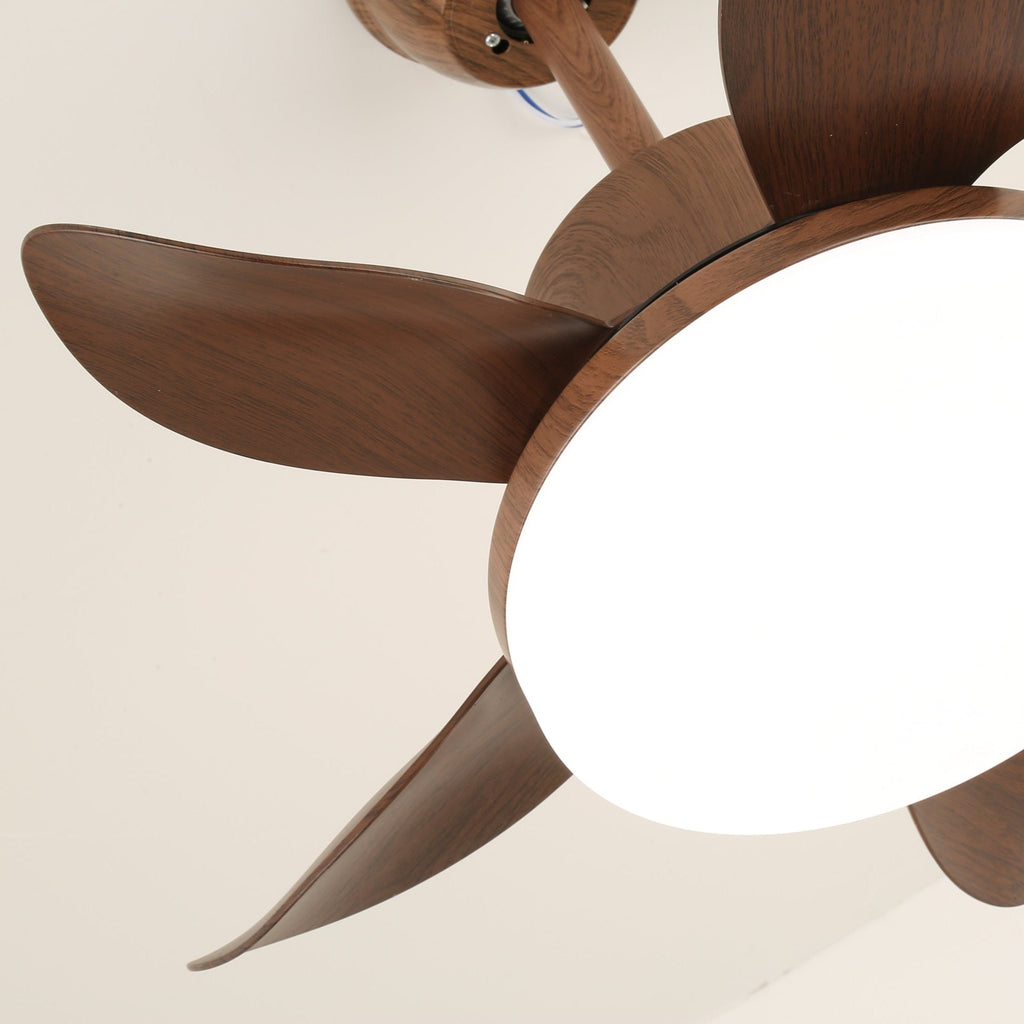 Terra Walnut Ceiling Fan Light by FIFTH & BEAM — product view 7