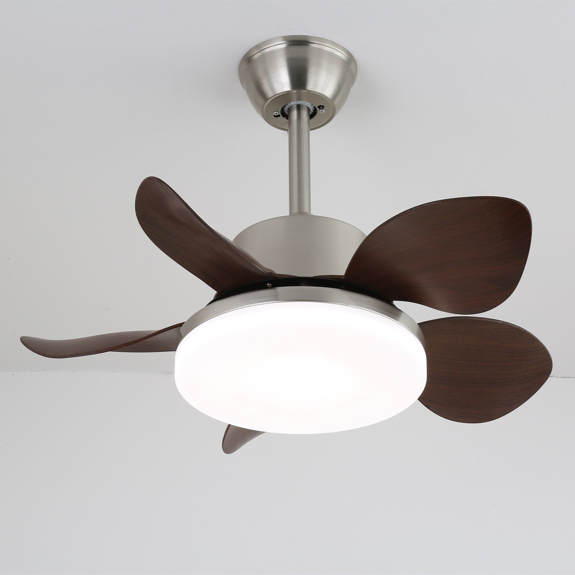 Terra Walnut Ceiling Fan Light by FIFTH & BEAM — product view 3