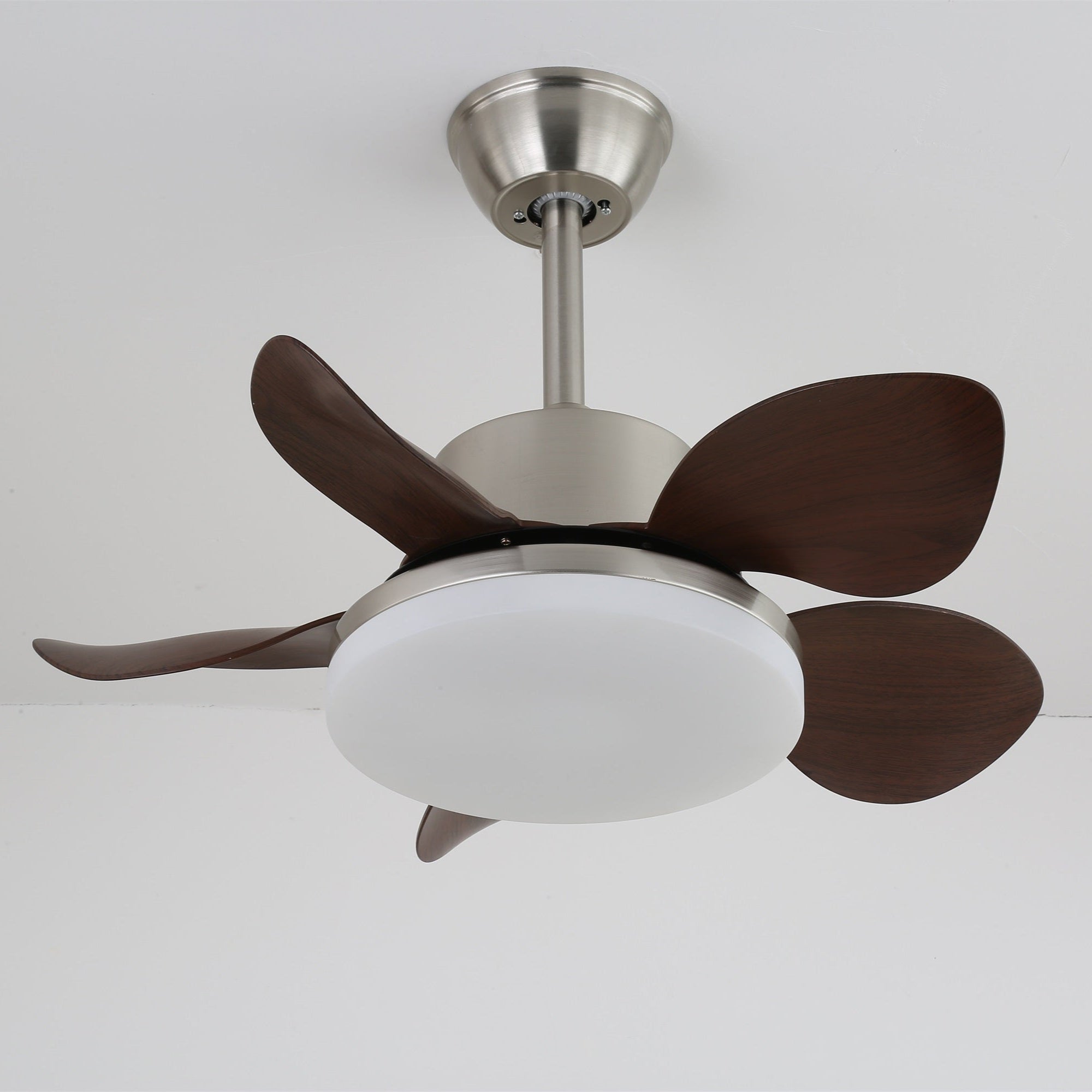 Terra Walnut Ceiling Fan Light by FIFTH & BEAM — product view 5
