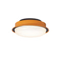 Caelan Ceiling Light by FIFTH & BEAM — product view 11