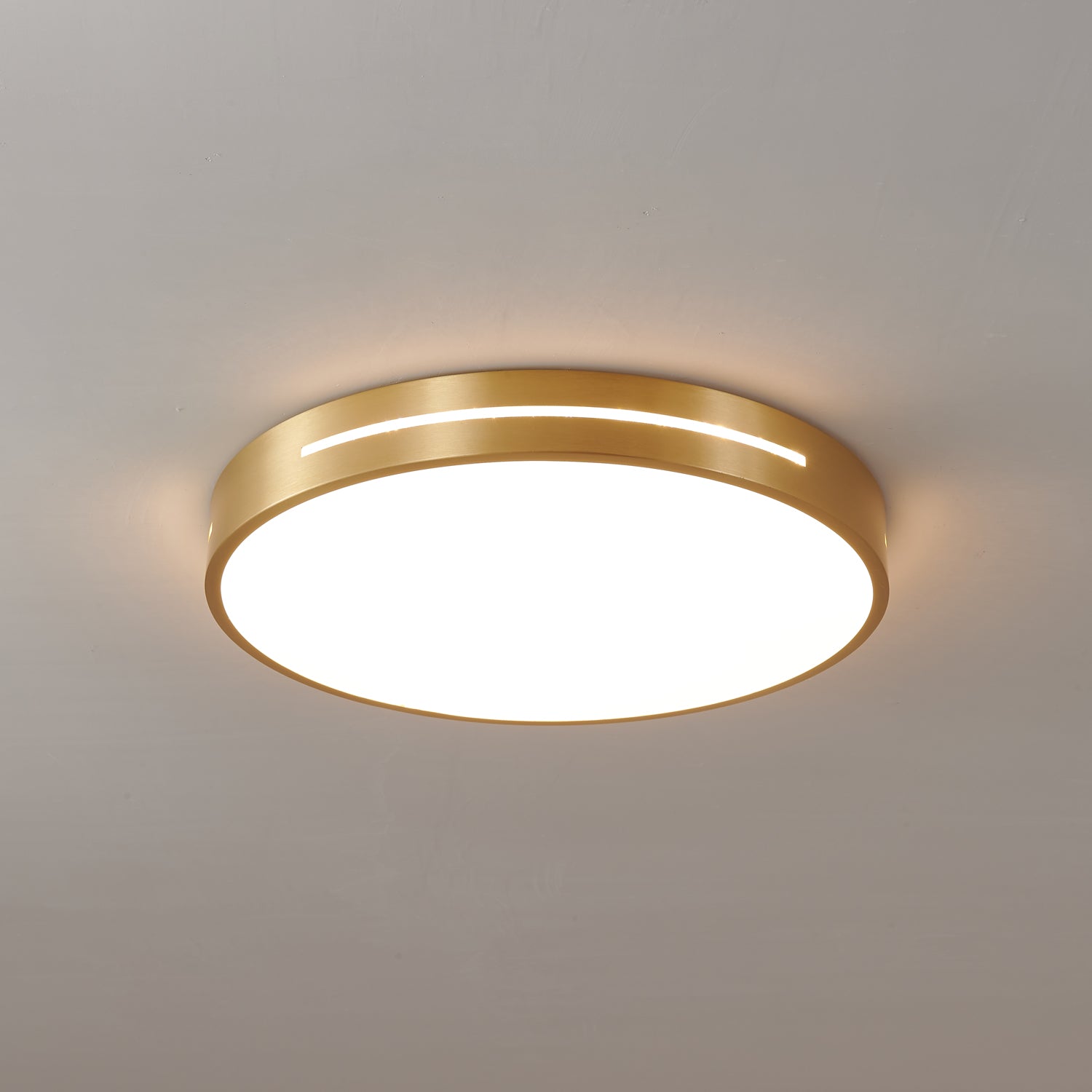 Caelum Ceiling Light by FIFTH & BEAM — product view 14