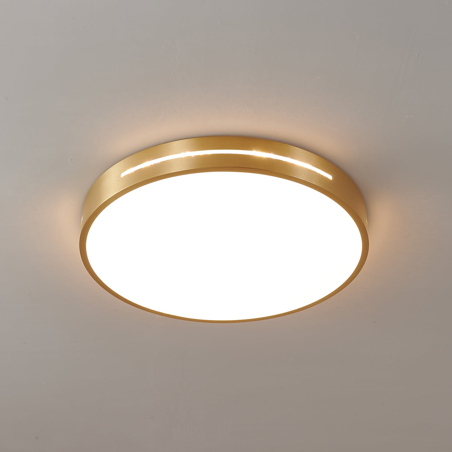Caelum Ceiling Light by FIFTH & BEAM — product view 16